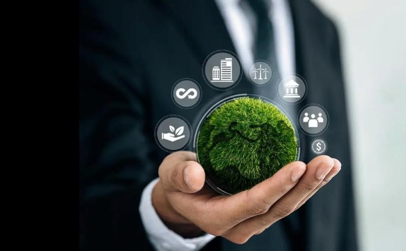 اللوائح البيئية